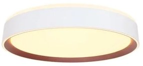 Plafonieră LED dimabilă cu control vocal OPAL LED/48W/230V + telecomandă