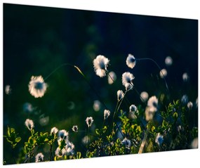 Tablou - Iarbă (90x60 cm)