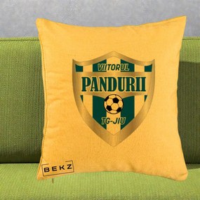 Perna Personalizata Pandurii Targu Jiu Fotbal, 40x40 cm, Galben, Husa Detasabila, Perna Inclusa, BEKZ®