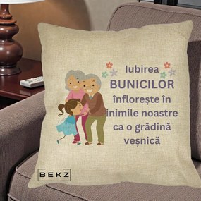 Cadou pentru Bunici - Perna Personalizata Bunicii Iubirea Infloreste Bunici cu Nepoata Colorat, 40x40 cm, Crem, Husa Detasabila, Perna Inclusa, BEKZ®