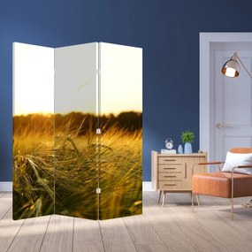 Paravan Iarba cu rouă (126x170 cm)