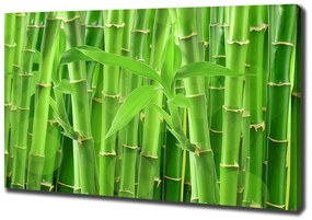 Tablou pe pânză Bambusul