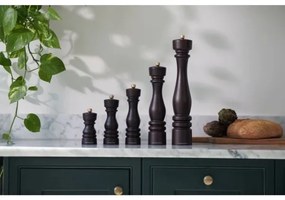 Râșniță pentru sare Cole&Mason LONDON 22 cm fag/maro