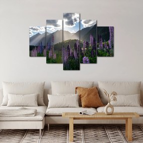 Tablou - scenariu cu flori de Lupin (150x105 cm)