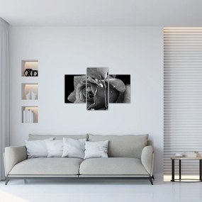 Tablou cu trandafir - albneagră (90x60 cm)