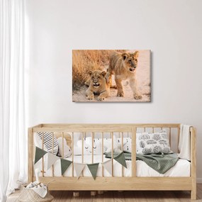 Tablou cu pui de leu (90x60 cm)