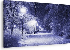 Tablou - Noaptea magică de iarnă (90x60 cm)
