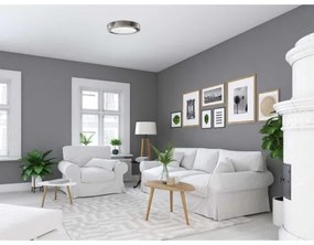 Plafonieră LED FENIX 12W 230V 2800K, diametru 17 cm