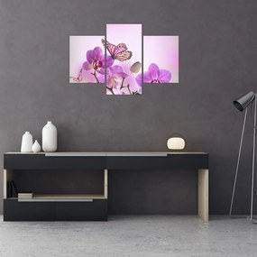 Tablou - Fluture pe flori de orhidee, liliac (90x60 cm)