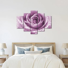 Tablou detaliu de floare de trandafir (150x105 cm)