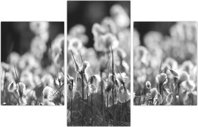 Tablou - Pajiște de vară (90x60 cm)