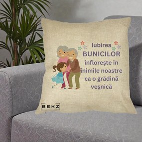 Cadou pentru Bunici - Perna Personalizata Bunicii Iubirea Infloreste Bunici cu Nepoata Colorat, 40x40 cm, Crem, Husa Detasabila, Perna Inclusa, BEKZ®
