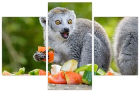 Tablou cu lemur (90x60 cm)