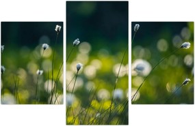 Tablou - Iarbă (90x60 cm)