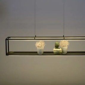 Lustră LED dimabilă pe cablu CONTURA 4xLED/8W/230V Paul Neuhaus 2441-18