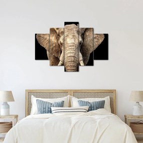 Tablou - Elefant african (150x105 cm)