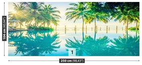 Fototapet Palms Pool