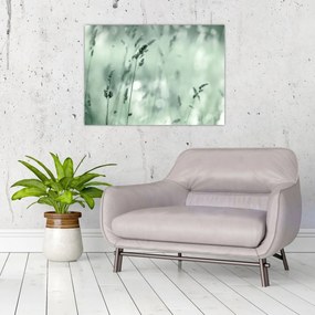 Tablou pe sticlă - Pajiște verde (70x50 cm)