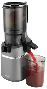 Storcător melcat pentru fructe și legume Concept LO7120 JUICY 250W/230V gri