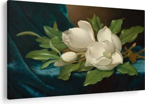Tablou - Martin Johnson Heade, Giant Magnolias on a Blue Velvet Cloth, reproducere (90x60 cm)