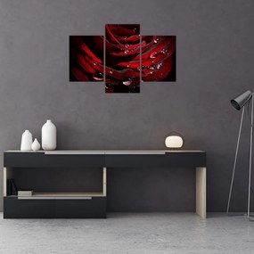 Tablou - Trandafir (90x60 cm)