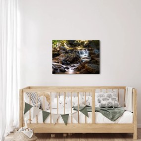 Tablou cu râul pietros (70x50 cm)