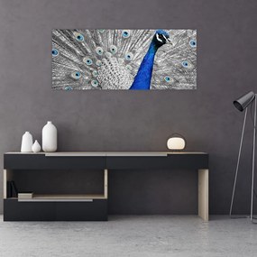 Tablou - păun albastru (120x50 cm), în 40 de alte dimensiuni noi