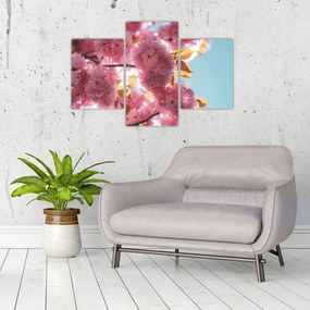 Tablou - Floare de cireș (90x60 cm)