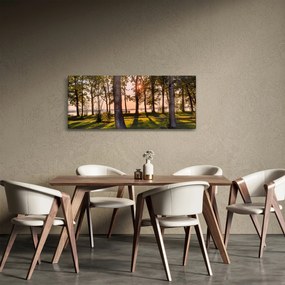 Tablou cu pomi lângă lac (120x50 cm)