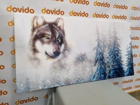 Tablou lup în natura iernii