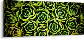 Tablou cu flori de piatră (120x50 cm)