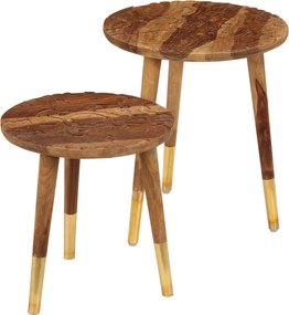 vidaXL Măsuțe de cafea, 2 buc., lemn masiv