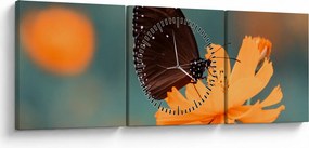 Tablou - fluture pe o floare portocalie (cu ceas) (90x30 cm)