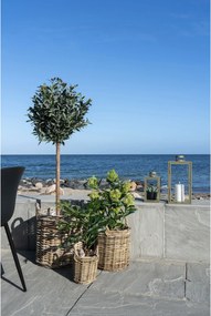 Copac Stalina (verde). Promo -9%. 1147558