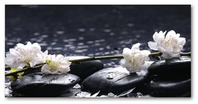 Pictura pe sticlă acrilică Floare de cires