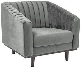 Fotoliu Asprey Velvet, gri/negru