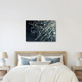 Tablou - Floare cu pânză de pâianjen (70x50 cm)