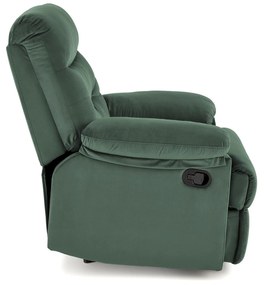Fotolilu Drago (verde închis). 1092519