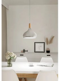 Eglo 901181 - Pendul pe cablu SABINAR 1xE27/60W/230V Ø28 cm argintiu