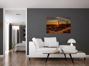 Tablou - Sfărșit de zi în deșertul Arizona (90x60 cm)