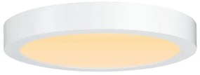 Plafonieră LED/19W Paulmann 79799 CARPO 230V 2300/2500/3000K