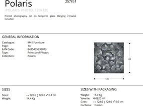 Tablou de perete decorativ Polaris,120x120cm