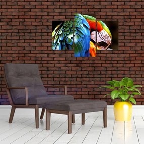 Tablou - Papagal (90x60 cm)