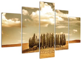 Tablou cu luncă (150x105 cm)