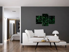 Tablou - Păpădii tropicale (90x60 cm)