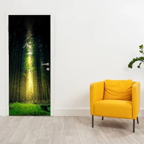 Fototapet pentru ușă - Pădurea Întunecată (95x205cm)