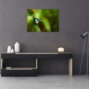 Tablou pe sticlă cu păun (70x50 cm)