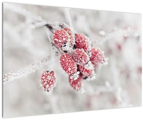 Tablou - Fructe congelate (90x60 cm)