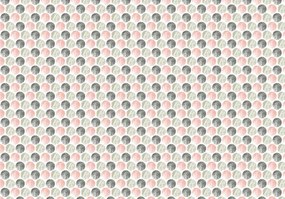 Fototapet - Cercuri Mozaic (152,5x104 cm)