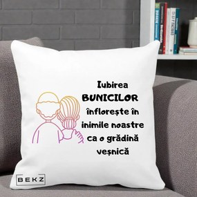 Cadou pentru Bunici - Perna Personalizata Iubirea Bunicilor Infloreste Cuplu Line Art Gradient, 40x40 cm, Alba Mata, Husa Detasabila, Perna Inclusa, BEKZ®